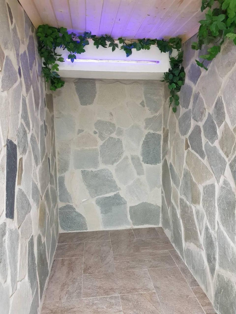 ホテル Statek 3 - Wellness & Spa Hluboká nad Vltavou エクステリア 写真